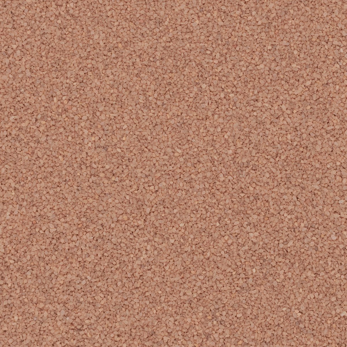 Torginol® | Cappuccino